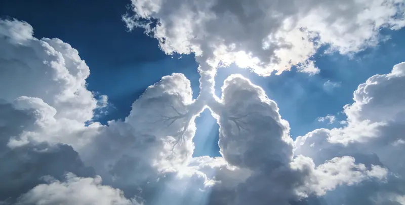 洛阳肺癌13基因突变检测（组织）图片1