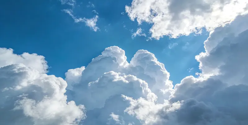 肺癌13基因突变检测（组织）图2